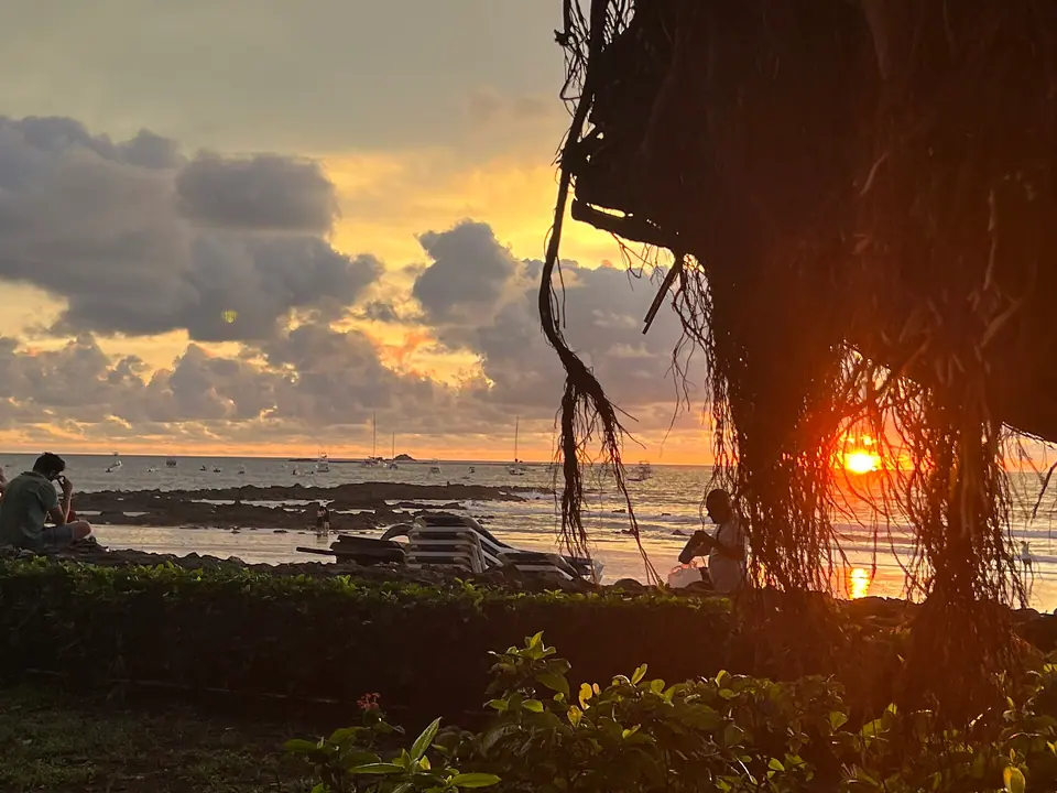 Sunset through tree roots on a Pacific beach in Guanacaste, Costa Rica