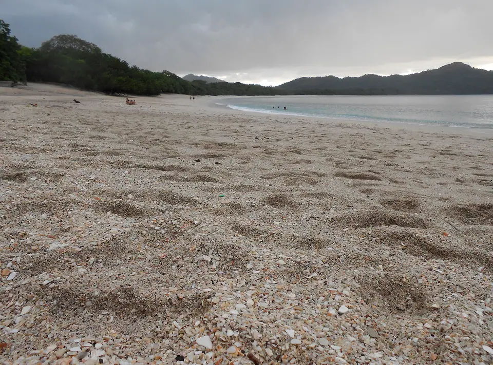 Pale shell sand and clear blue water at Playa Conchal in Guanacaste, Costa Rica